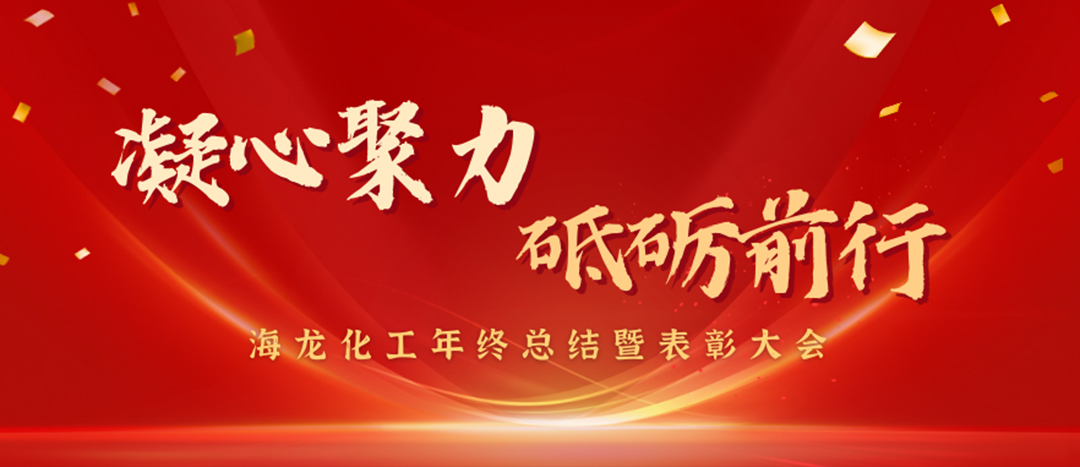 表彰 | 凝心聚力，砥礪前行，海龍化工年終總結暨表彰大會圓滿舉行